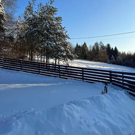 Dom Na Borówkowym Wzgórzu