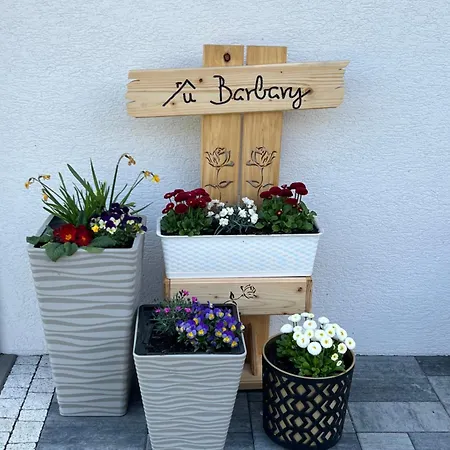 Lägenhet Dom Na Borowkowym Wzgorzu Palesnica