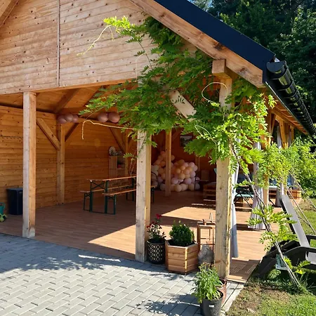 Dom Na Borowkowym Wzgorzu *